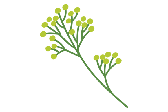 Blooming Branch Graphics for Crafters