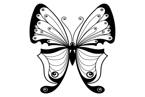 Decorative Moth with Black Ornament Wing Graphics