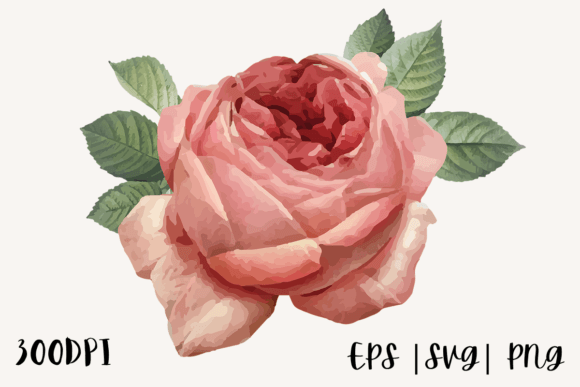 Decorative Watercolor Rose Graphics for Local Branding