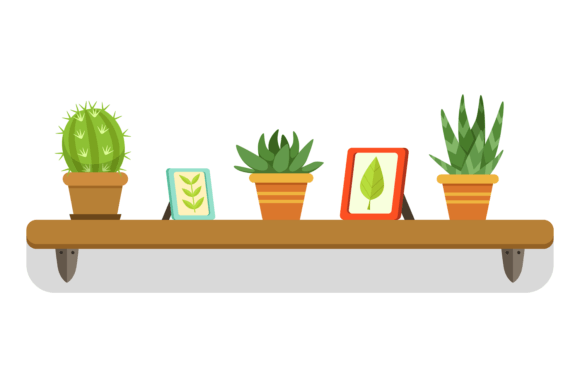 Wall Shelf Succulents Design